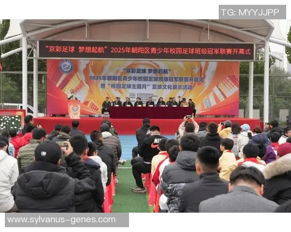 大学足球在校园文化中的重要性与影响力探讨